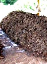 Valorización de los residuos avícolas (cadáveres de pollos y gallinaza), en la elaboración de Compost – Pichanaki - Perú.